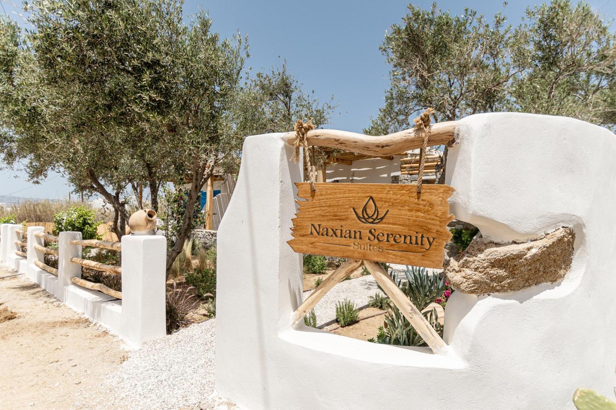 Naxian Serenity Suites Agia Anna  Zewnętrze zdjęcie