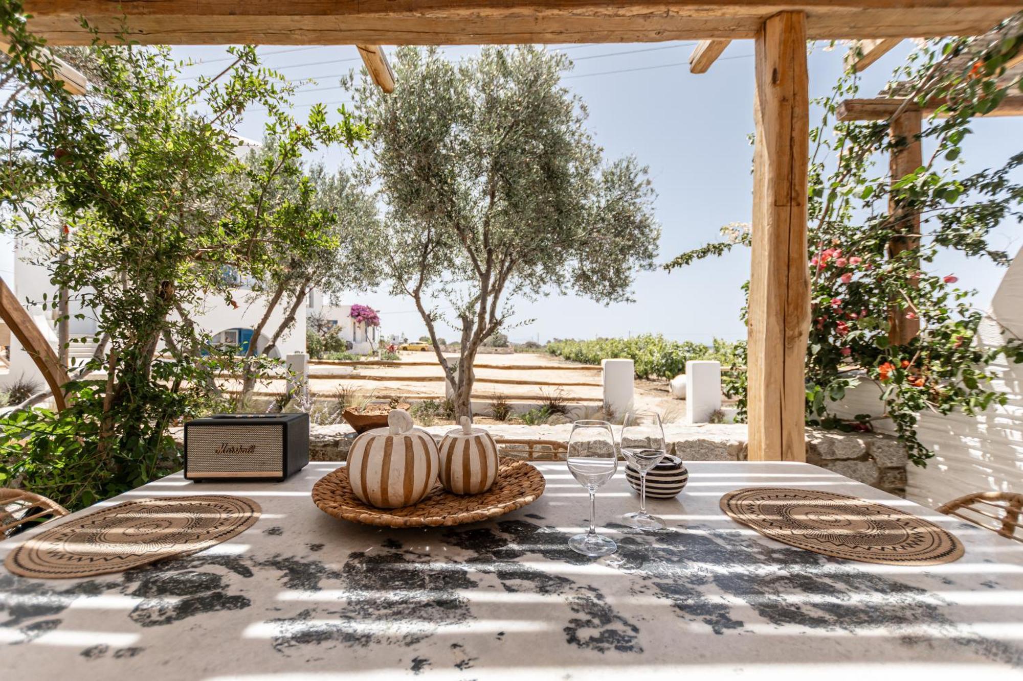 Naxian Serenity Suites Agia Anna  Zewnętrze zdjęcie