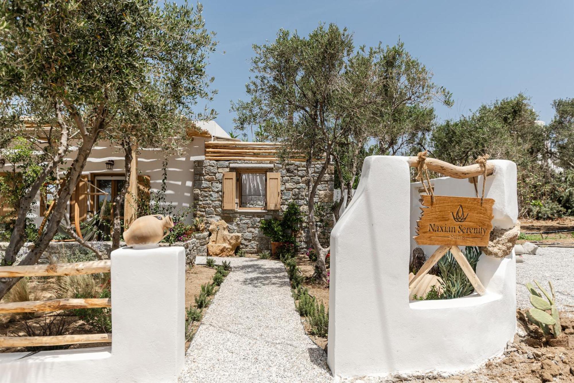 Naxian Serenity Suites Agia Anna  Zewnętrze zdjęcie