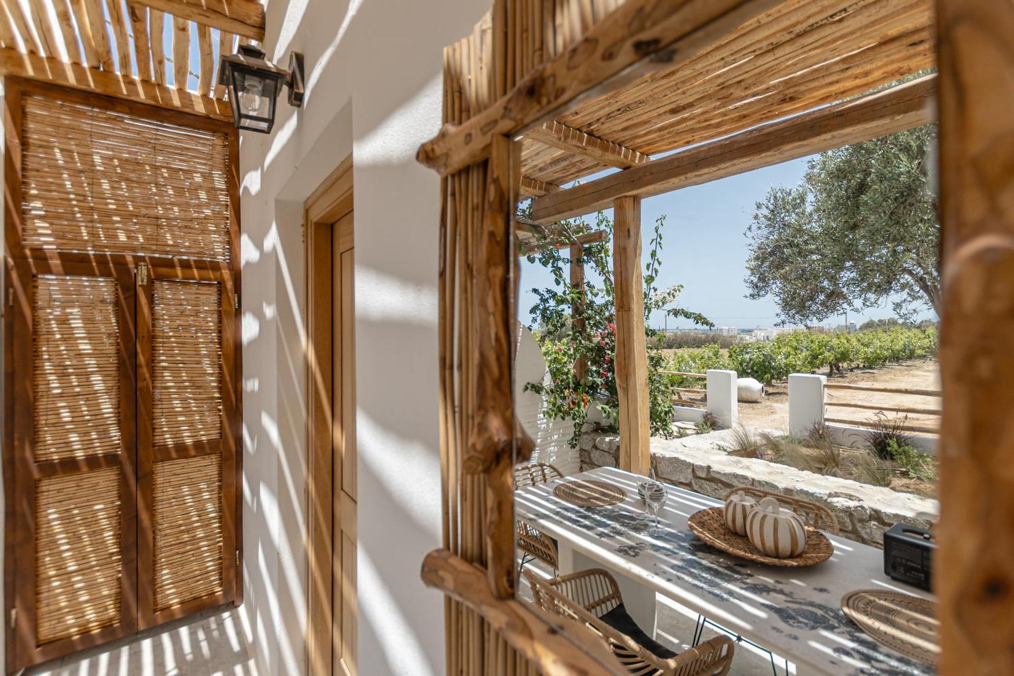 Naxian Serenity Suites Agia Anna  Zewnętrze zdjęcie