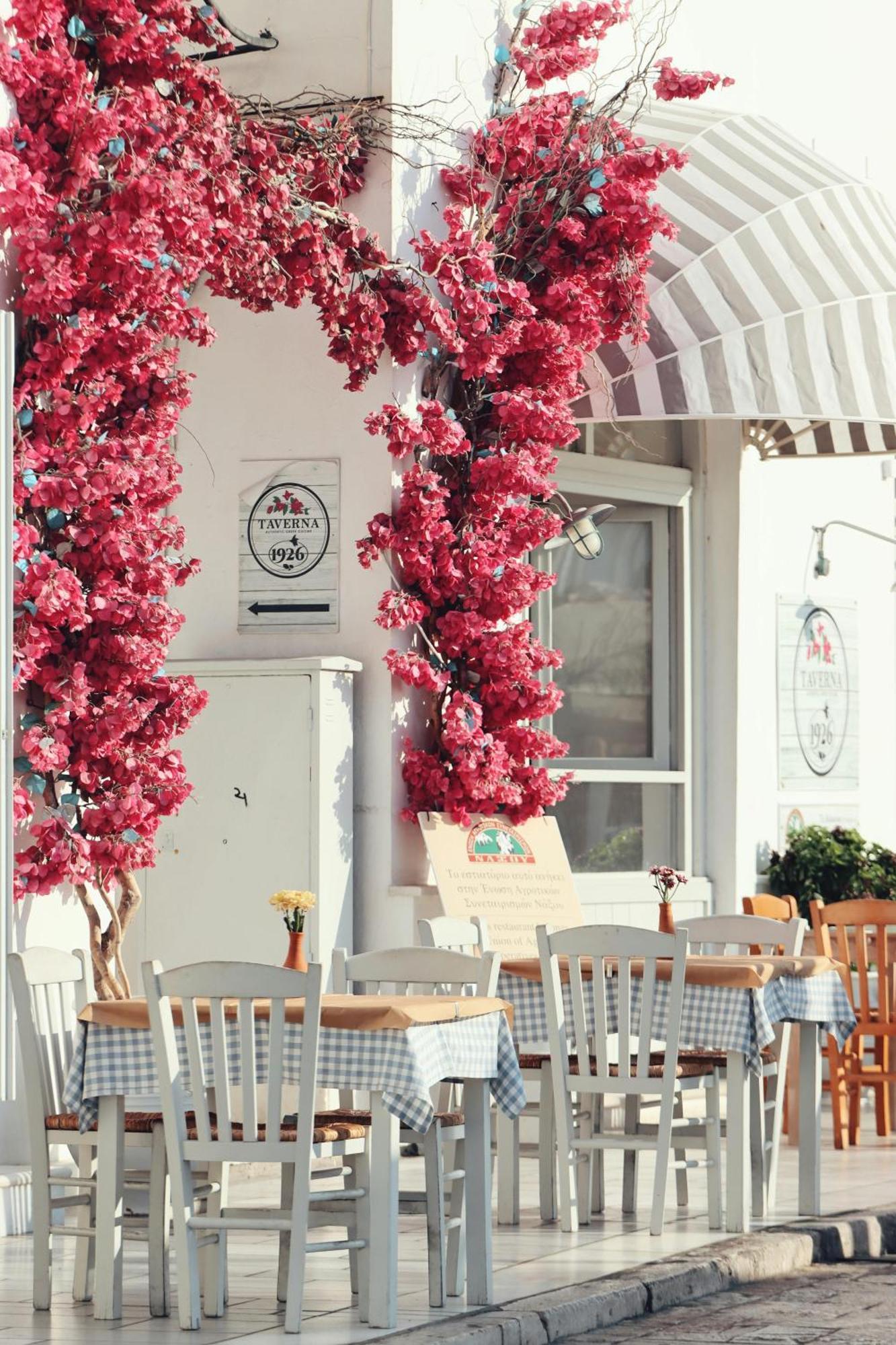 Naxian Serenity Suites Agia Anna  Zewnętrze zdjęcie